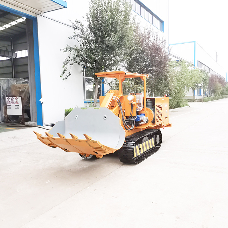 محمل الصخور الكبير الجانبي