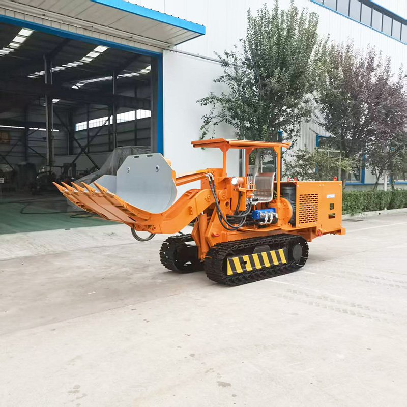 Máy xúc lật bên hông