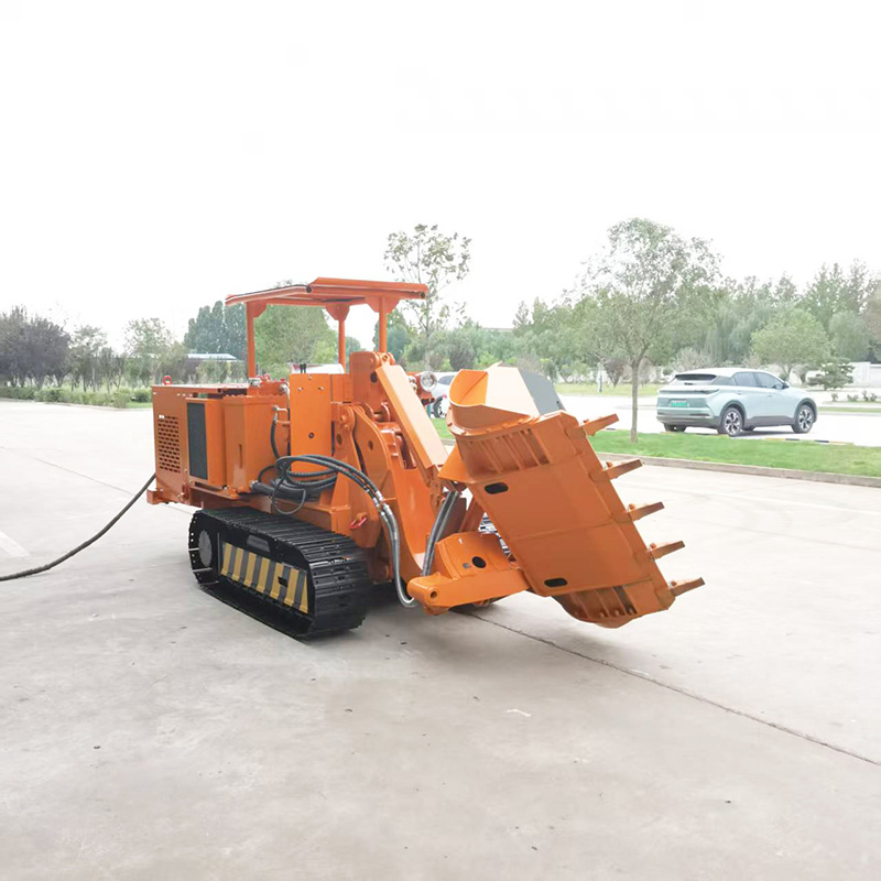 محمل الصخور الكبير الجانبي