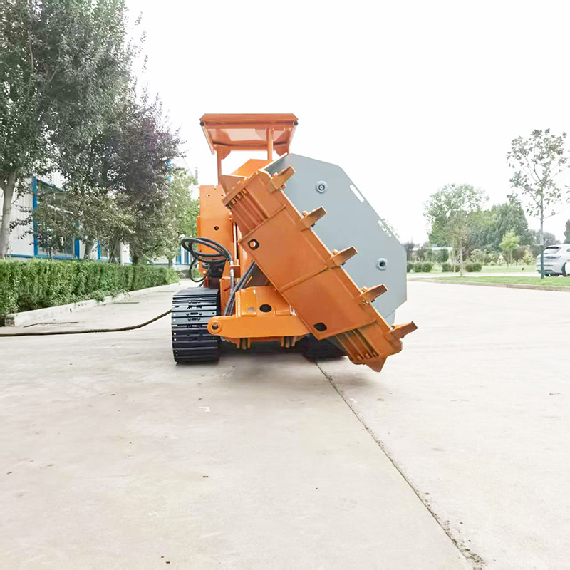 محمل الصخور الكبير الجانبي