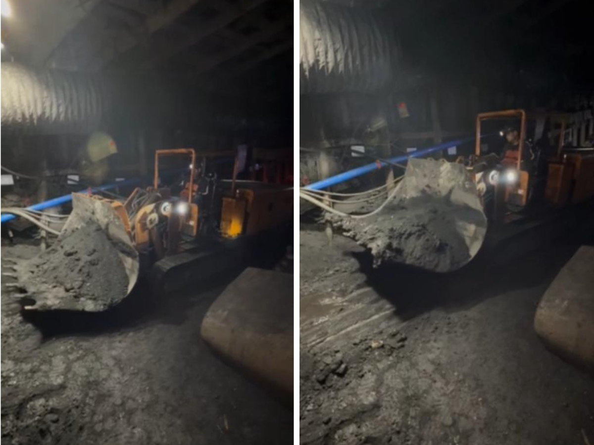 Cargador de volteo lateral